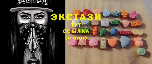 ECSTASY Гусь-Хрустальный